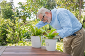 hombre mayor cuidando sus plantas